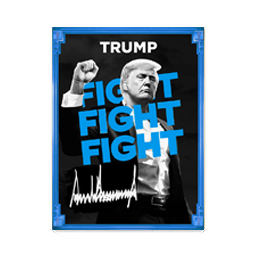 Sample of the Trump Fight Card